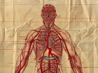 iteracareprife-produk-03